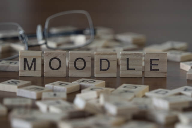 What is the Learning Support System Moodle?